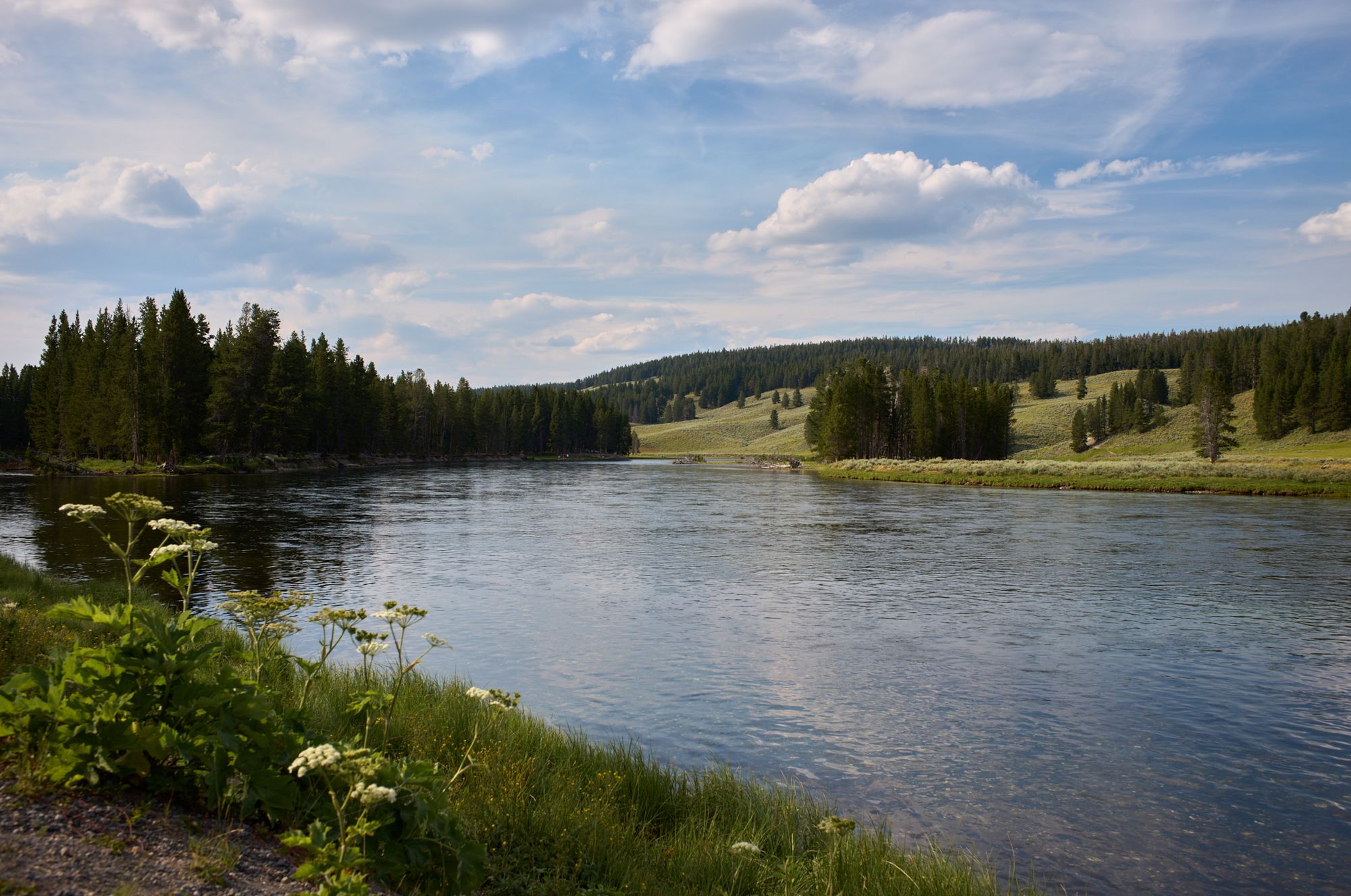 Yellowstone shot with the Leica M11 Rangefinder Camera.