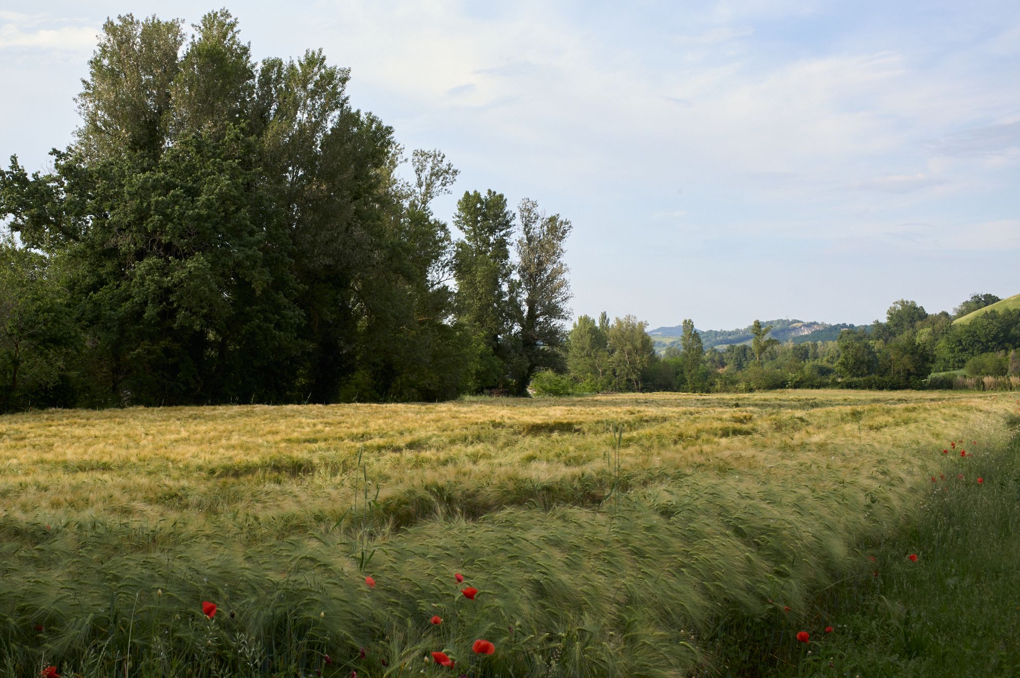 Baking Bread in Southern France and Eating My Way Through Northern Italy